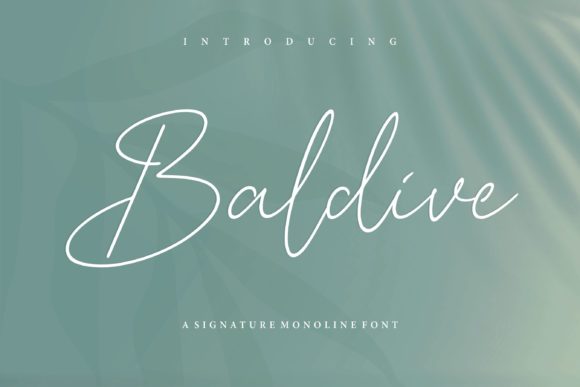 Baldive: The Handwritten Font That Transformed My Brand Identity