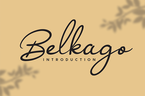Belkago Script Review: A Designer’s Take on Real-World Application
