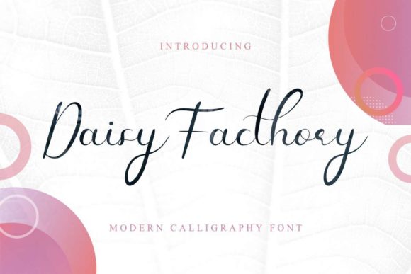 Daisy Facthory: The Handwritten Typeface That Elevates Campaign Visuals