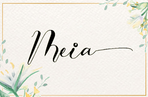 Meia: The Timeless Handwritten Typeface for Editorial Design
